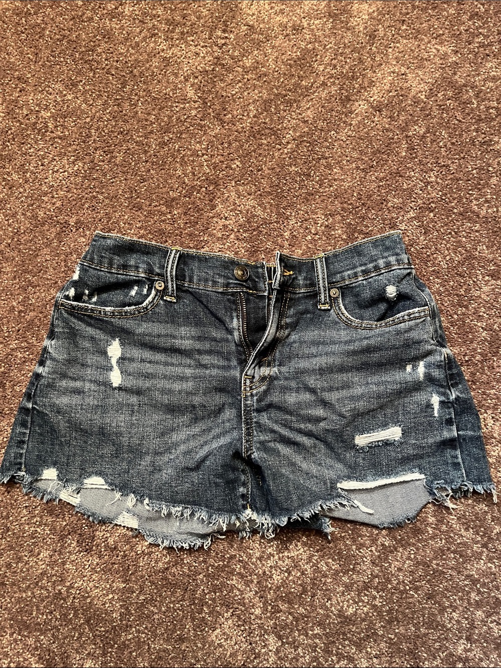 American Eagle Outfitters Distressed Dark Blue Denim Cutoff Shorts